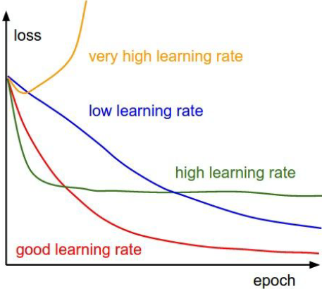 Effect of Learning Rate on the Loss Function